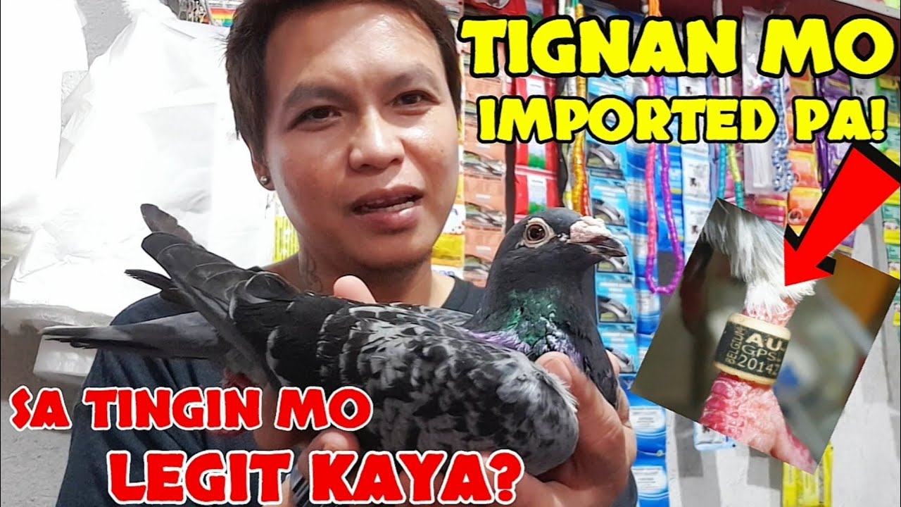 IMPORTED ata yung nabili ko sa tropa! TIGNAN MO NGA KUNG LEGIT?