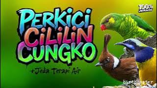 MASTERAN SATU JALUR JEDA TERAPI AIR | NEMBAK KASAR TAJAM!!