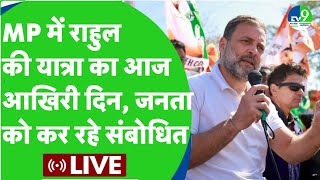 Bharat Jodo Nyay Yatra Live: MP में Rahul की यात्रा का आज आखिरी दिन, Mallikarjun Kharge भी शामिल