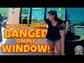Psychotic Leprechaun Terrorizes Florida Community with Chucky Doll, Demented Piñatas