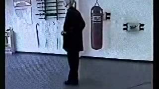 Shaolin - Basic Training - Form 10