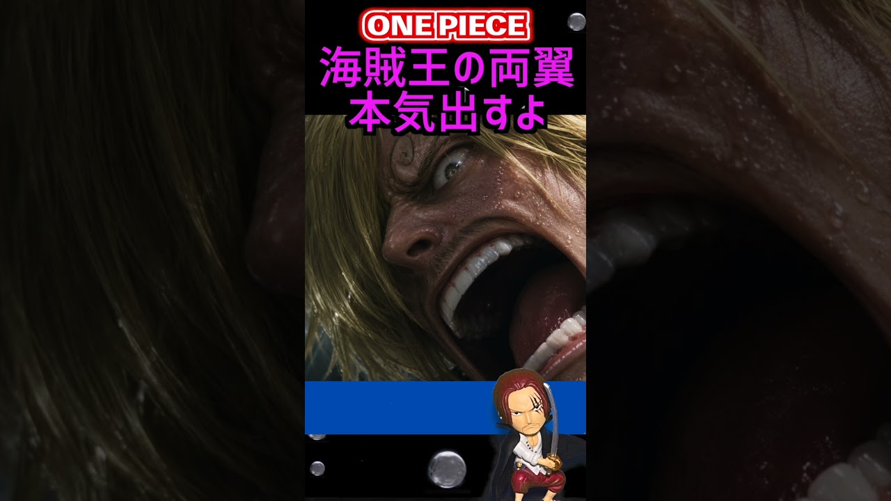 【ワンピース1182海賊王の両翼が本気出すよ 考察】(予想考察) #one #ショート動画 #ワンピース1021