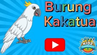 "Burung Kakatua - Lagu Anak Ceria dan Edukatif!"