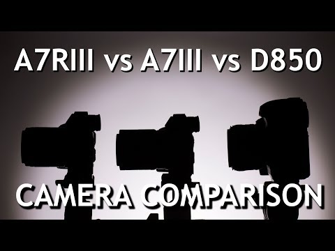 Camera Comparison: Sony a7R III vs Sony a7 III vs Nikon D850