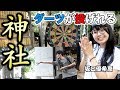 【ダーツ】ダーツが投げれる神社に『坂口優希恵』と遊びにってみた+とごしぎんざ食べ歩き【MOYA/モヤ】