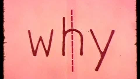 The Mauch Stereotoner Promotional / Educational Video