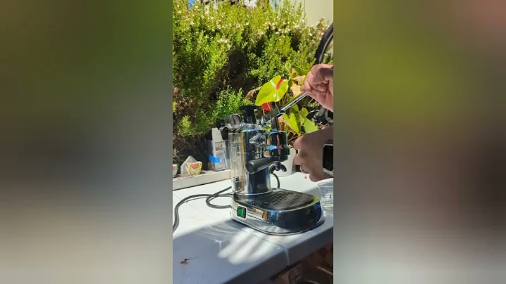 La Pavoni Professional 2001: Power Switch & Heating Element Replacement | De Luca Espresso Repair