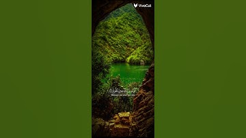 القارئ ياسر الدوسري 🍀🪴 #اكسبلور #القرآن_الكريم
