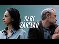 Sarı Zarflar: Politik Gerçekçilik ve Aşk Hikayesi 🎬