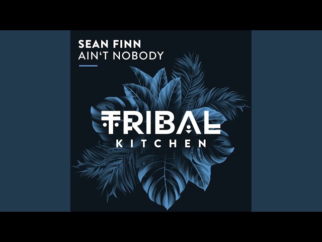 Sean Finn - Ain't Nobody