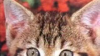 Patty y el rompecabezas de gato screenshot 5