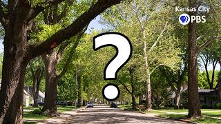 The Most Tree-Obsessed City in Johnson County, Kansas