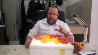 ☢ בול פגיעה - בדיקת פלפל \ גמבה מבפנים ומחוץ