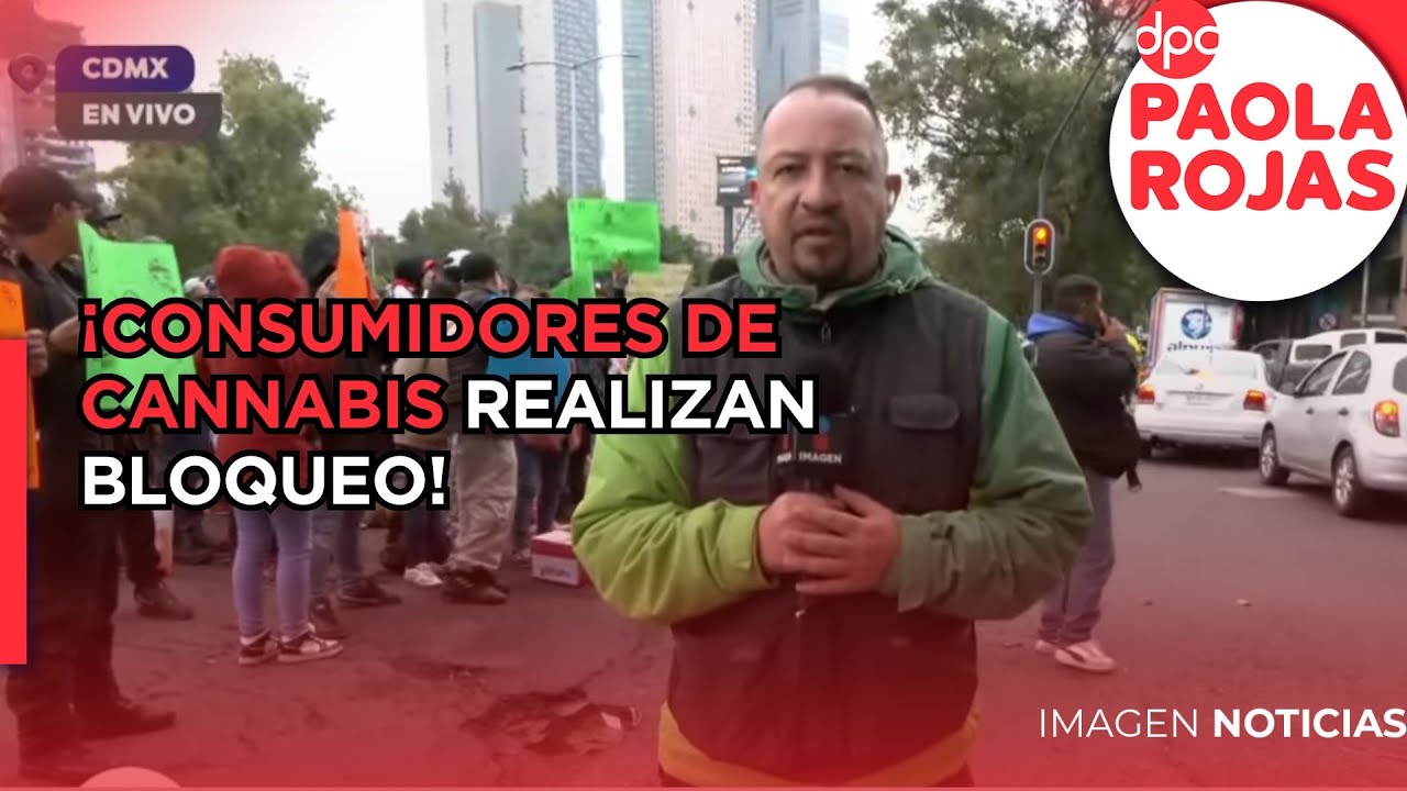 Consumidores de cannabis realizan bloqueo en la CDMX | DPC con Paola Rojas