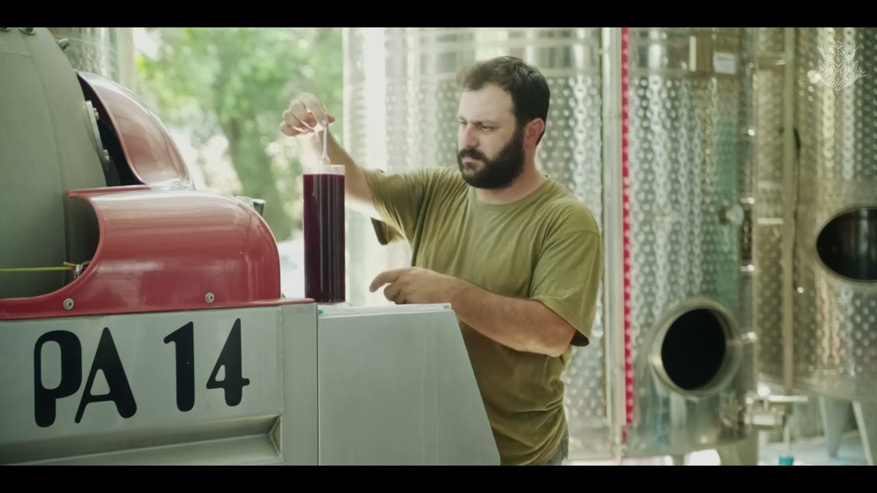 Ezousa Winery - Our premises