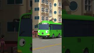 Rogi And The Green Light Ruckus shorts tayos6 tayothelittlebus