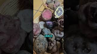 Comunidades remotas en los Andes peruanos cultivan 1,367 variedades de papas que previenen