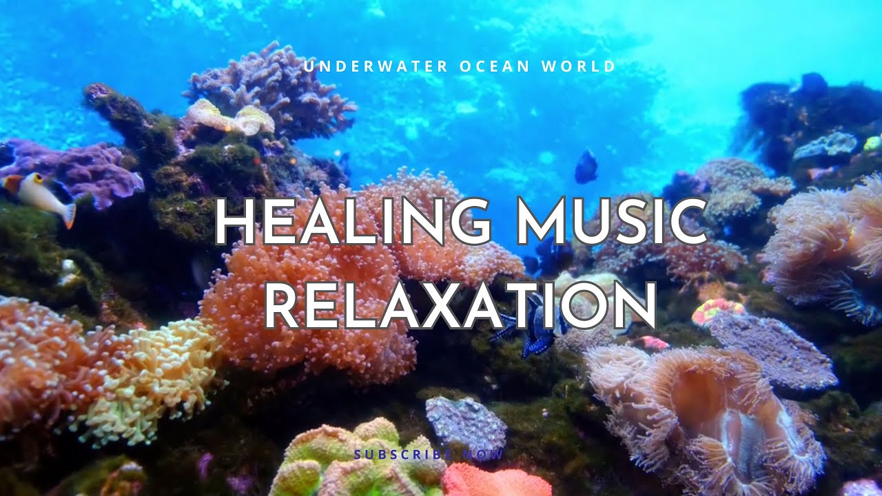 Underwater Ocean World 🐠 SOOTHING MUSIC FOR NERVES - HEALING MUSIC ...