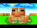 QUESTA MOD aggiunge RANE e PALUDI del WILD UPDATE in MINECRAFT!