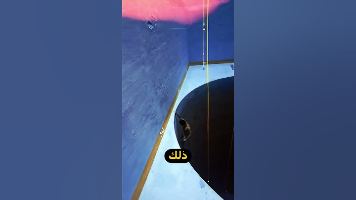 جرب لمس قاع اكبر مسبح في العالم🔥😱