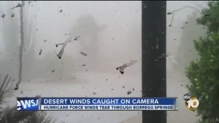 VIDEO: Powerful winds blow through Borrego Springs
