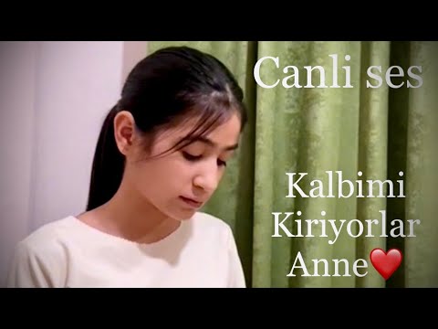 Aymahrem Akmyradowa Kalbimi kiriyorlar Anne (cover) Derya Bedavaci #anne #türkü #şarkı