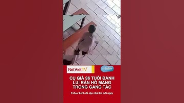 Cụ bà 96 tuổi ở Nghệ An dùng gậy đánh bại rắn hổ mang ngay trong sân nhà