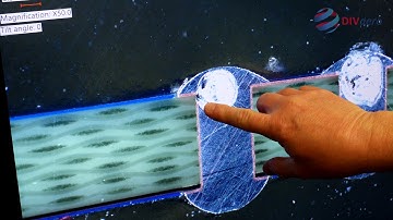 Video from Divearo on the subject of Micro Sectioning.