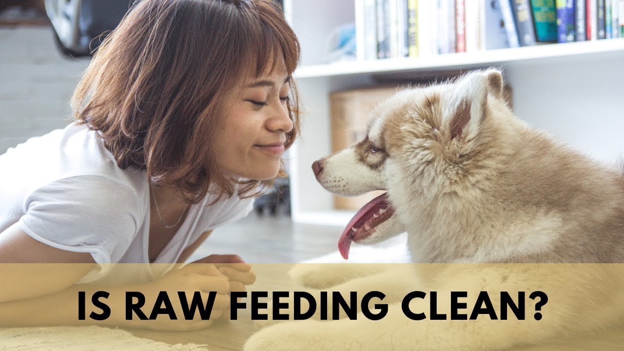 charlie skye terrier