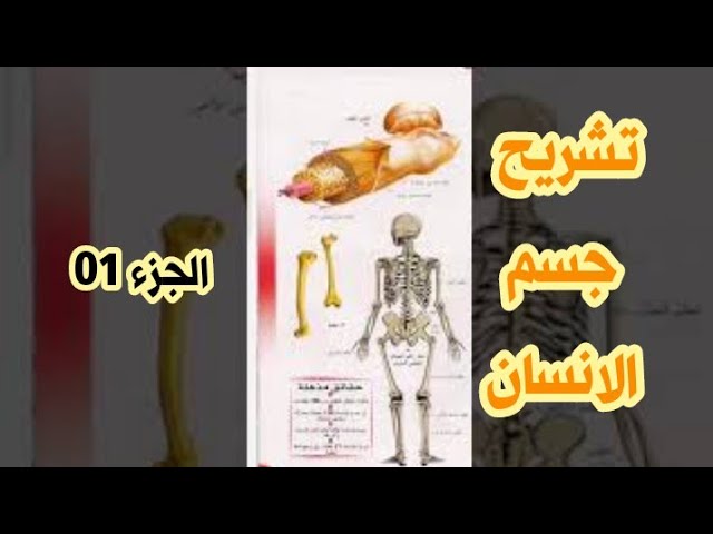 #أمّة_تقرأ //الكتاب 05 الجزء 01|| اليوم الثالث ||✓الفئة الثالثة /قراءة الأستاذ محمد أبو شاكر لعبودي