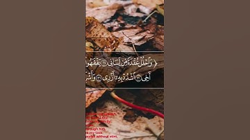 القارئ انس محمد سورة طه 🌹