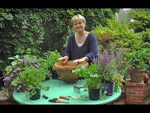 Vidéo: Paniers d'herbes suspendus : comment créer un jardin d'herbes aromatiques dans un panier