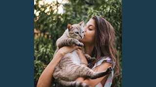 Cat Naps by Waterfalls