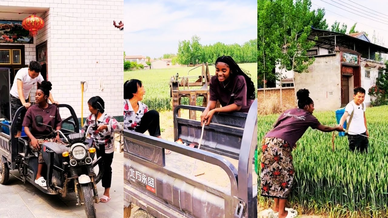 Свекровь взяла Анджину и Цзиньтао в поля, чтобы распылять пестициды.