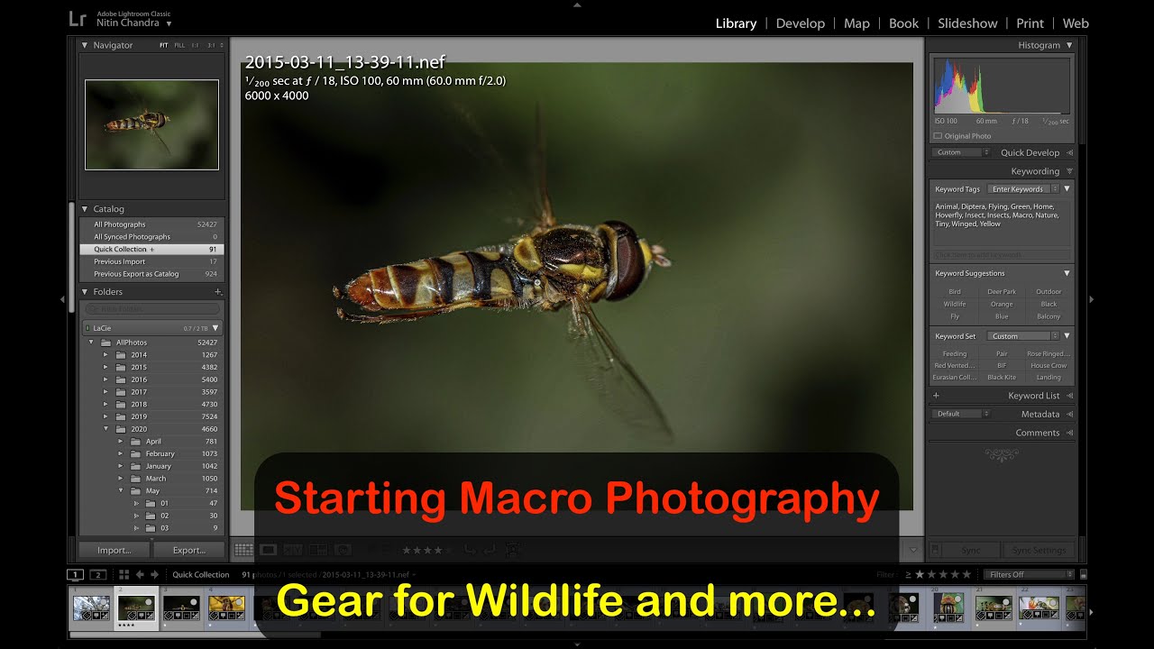 Starting Macro Photography - Gear for Wildlife and more...