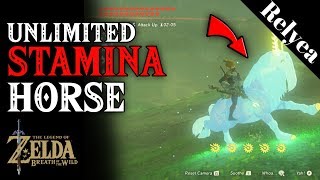 Unlimited Stamina Horse in Legend of Zelda Breath of the Wild