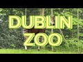 Dublin Zoo