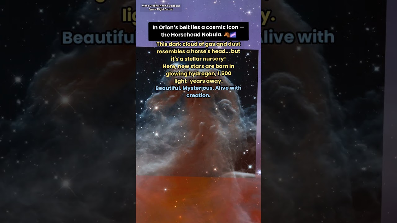 The Horsehead Nebula: A Stellar Nursery in Deep Space 🌌