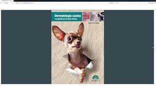 Tutorial Documentavet v4