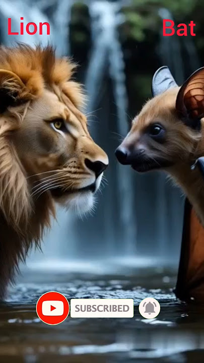 #animals #shortsvideo #lion #bat #gorilla#crocodile #🔥🔥🔥🔥🌍