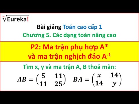 Video Chương 5. Đại số nâng cao - P2: Ma trận phụ hợp và ma... - youtube