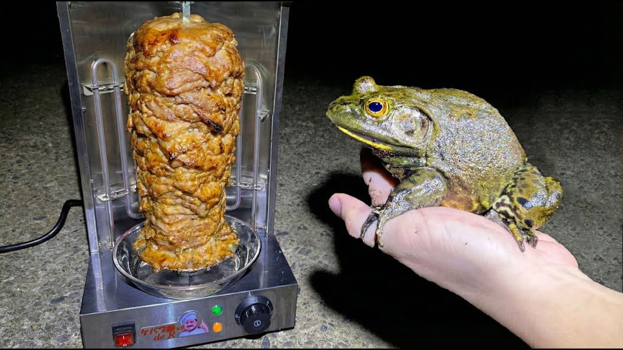 ホモサピ、元Repezen・ふぉいと”ウシガエル肉ケバブ”作りに挑戦！ 捕獲