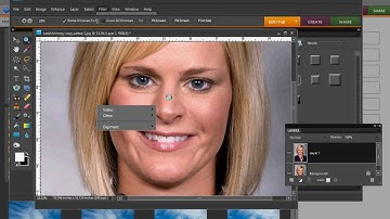 PHOTOSHOP ELEMENTS: THE SURFACE BLUR FILTER
