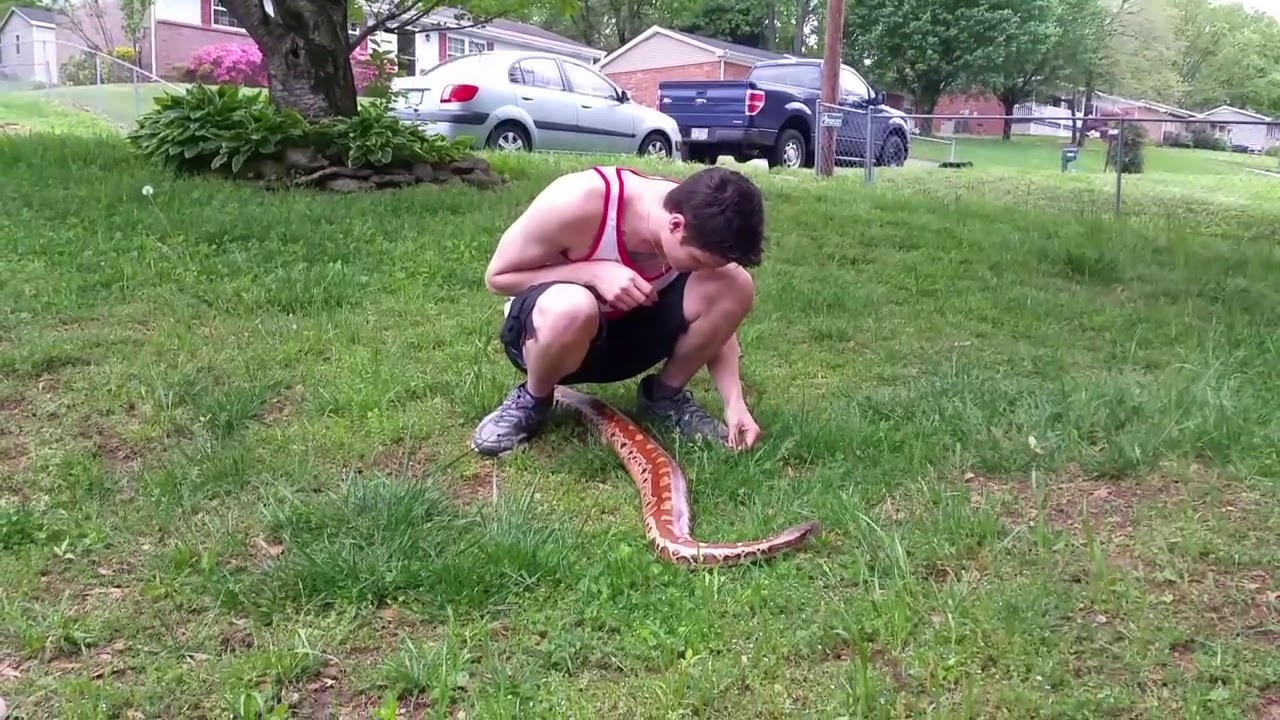 autism quotes Gorgeous blood python Pebbles