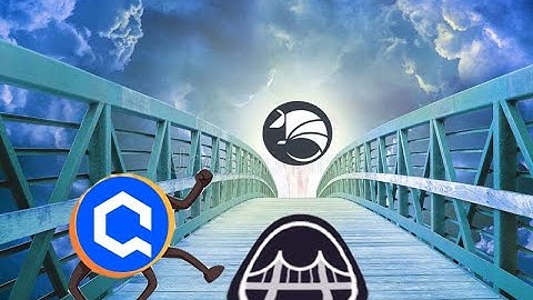 What is Octus Bridge & How to use it?