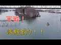 実戦・寒鯉釣り1