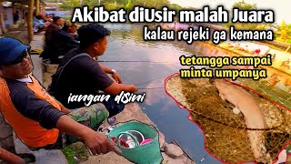 Awalnya diusir endingnya juara. Mancing Galatama lele. umpan lele ampuh