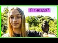 Шок! Птица сама уселась на меня и не хочет улетать