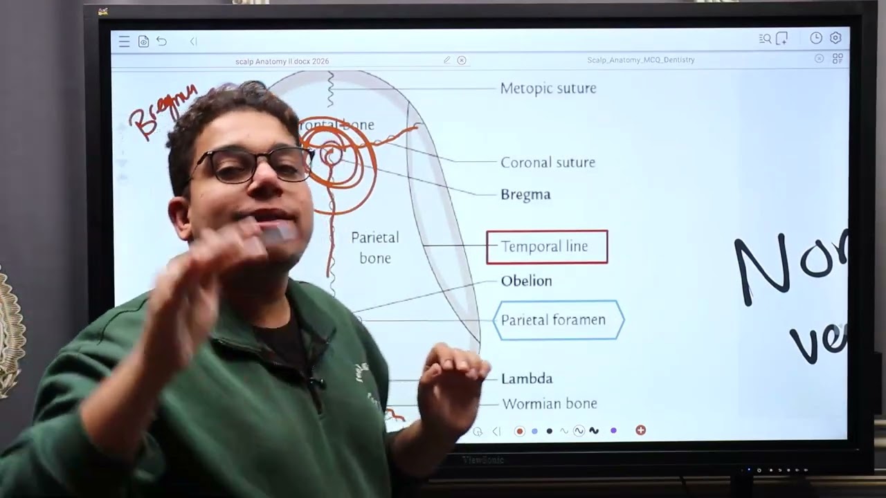 ANATOMY LECTURE 1 :  Future طب أسنان جامعة …HEAD & NECK 🧠