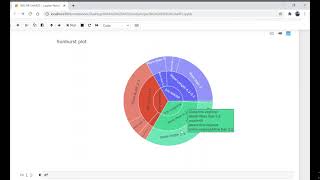 Sunburst Plot